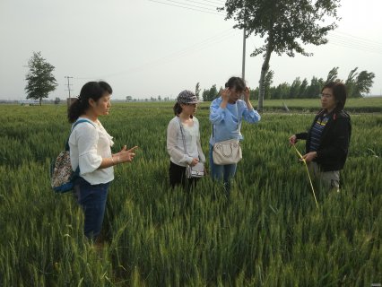 ������Яũҵ�����������Ա��չ���￼��...