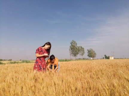 ����������񴵶���ɫ����...