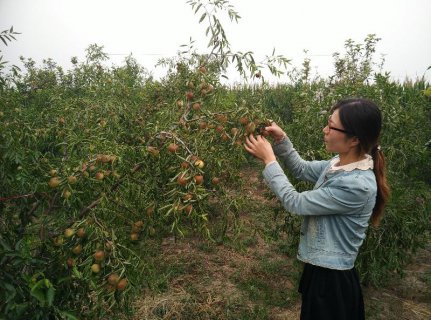 ������������������������ר���������...