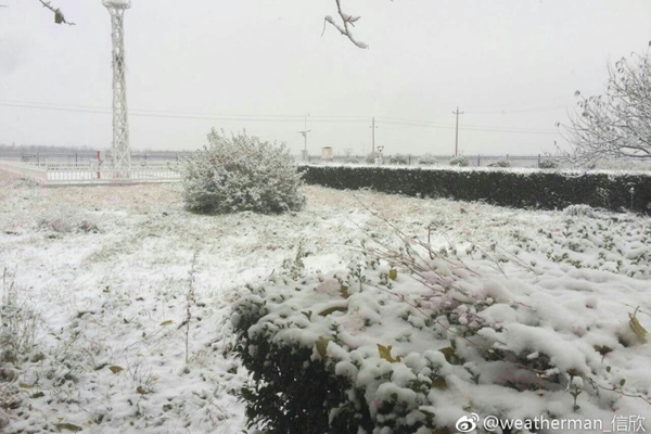 �������������� ���ϻ���ʪ������